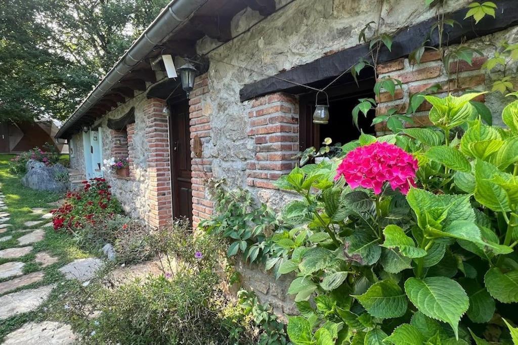Los Acebos De Pena Cabarga, Cupula Experiencias Sobremazas Екстериор снимка